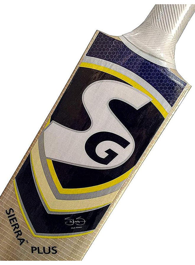 SG Sierra Plus Cricket Bat For Mens and Boys (Beige, Size - 4) | Material: Kashmir Willow | Lightweight | Free Cover | Ready to play | For Intermediate Player - Image 4