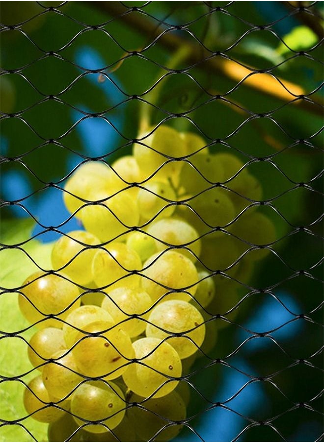 YEGBONG - Bird Netting For Garden 13Ft*33Ft Reusable Garden Netting Plants Barrier Plant Netting Mesh Net Protect Fruit Trees Seedlings Plants From Birds Squirrels Cicadas Rodents - Image 1
