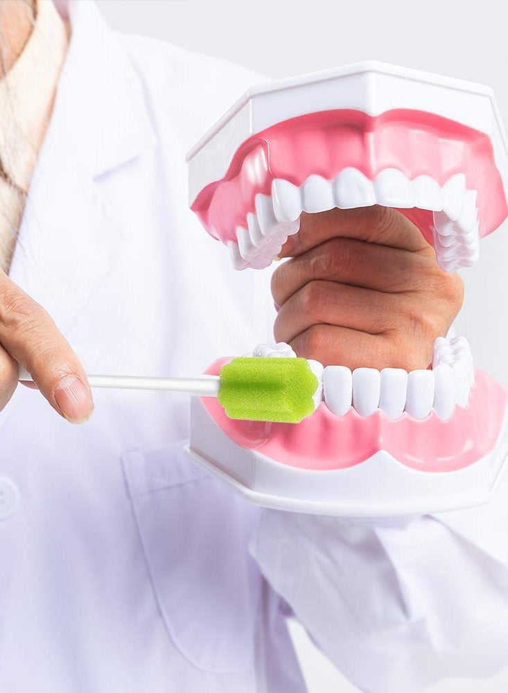 Daytoyz 50 Disposable Oral Sponge Swabs for Elderly, Adults & Kids – Unflavored Mouth & Gum Cleaning Swabsticks, Soft Hygienic Bulk Pack - Image 3