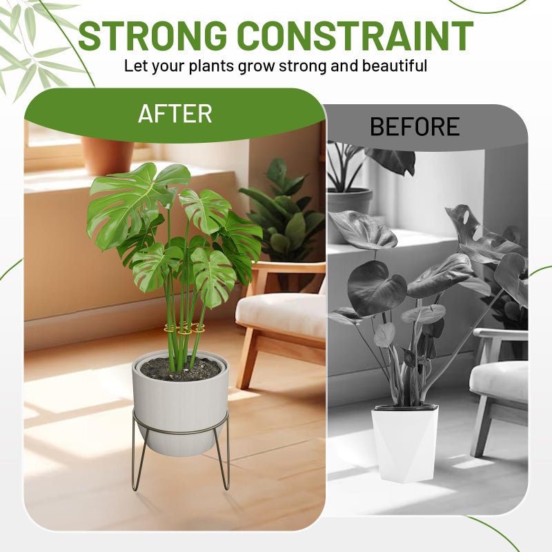 Yeomant 4PCS Iron Monstera Support, Uniquely Designed Plant Support Stakes for Indoor Plants, Stable Plant Stakes and Supports, Turtle Shell Bamboo Clamp Set for Thriving Growth - Image 3