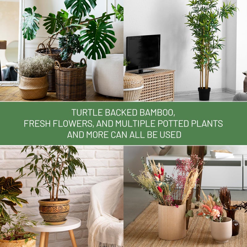 Yeomant 4PCS Iron Monstera Support, Uniquely Designed Plant Support Stakes for Indoor Plants, Stable Plant Stakes and Supports, Turtle Shell Bamboo Clamp Set for Thriving Growth - Image 5