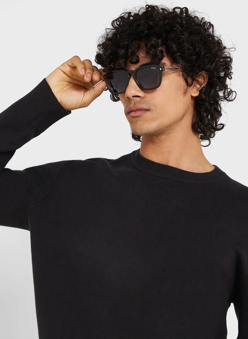 Polaroid Wayfarer Sunglasses