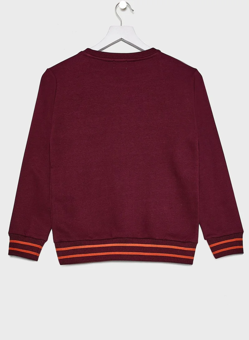 American Eagle Kids Embossed Sweatshirt
