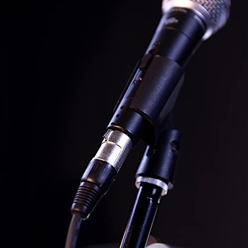Stagg 33ft. Standard Mic cable - XLR/Phone plug - Image 5