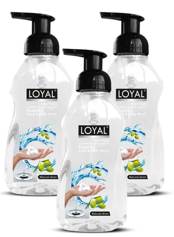 لويال غسول اليدين والجسم الرغوي، زيتون طبيعي، 3 × 500 مل
