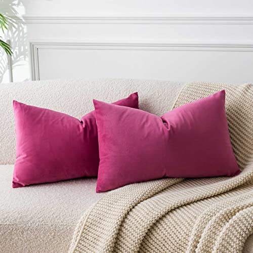 JUSPURBET Throw Pillow Covers Set of 2 Decorative Velvet Pillow Covers for Couch Sofa Bed Soft Lumbar Cushion Covers with Invisible Zipper for Living Room Home DecorRose Red12x20 inch - Image 1