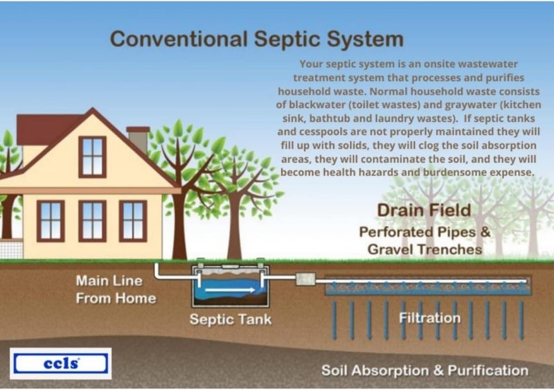 ccls Septic Tank and Cesspool Treatment Additive/Organic Enzyme Producing Bacteria/Non-Toxic/Non-Hazardous/Non-Corrosive (1-Quart) - Image 4