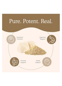 Real Mushrooms Real Mushrooms Store Lion's Mane Cognition 120 Capsules  - Image 3