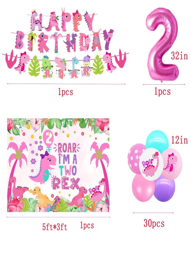 BEOXAGAR Two Rex Pink Dinosaur Birthday Party Decorations for Girls - 2nd Birthday Supplies - Image 3