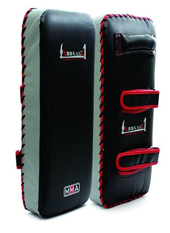 Massive Speed System XpeeD Pack of 2 (Two) Kickboxing Martial Arts Training Practice Men/Senior/Adult Size Straight Focus Target Arm Back Holder Muay Thai Kickboxing Karate Focus Shield Pads - Image 3