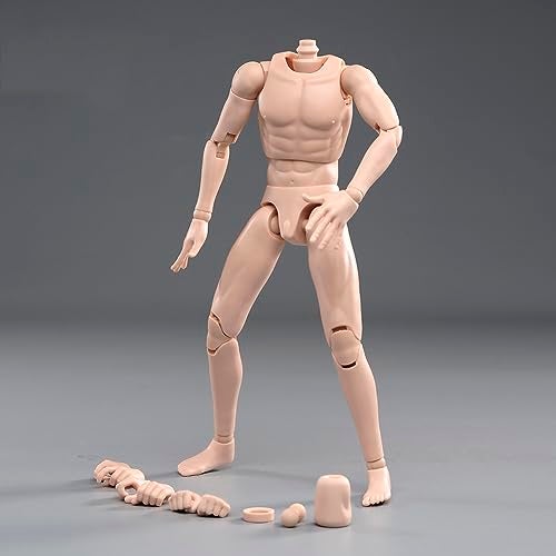Fremego 16 Scale Male Body 12inch Flexible Muscle Male Soldier Action Figure Body Artistic Human Body Miniature Figure Doll Pale Skin - Image 5