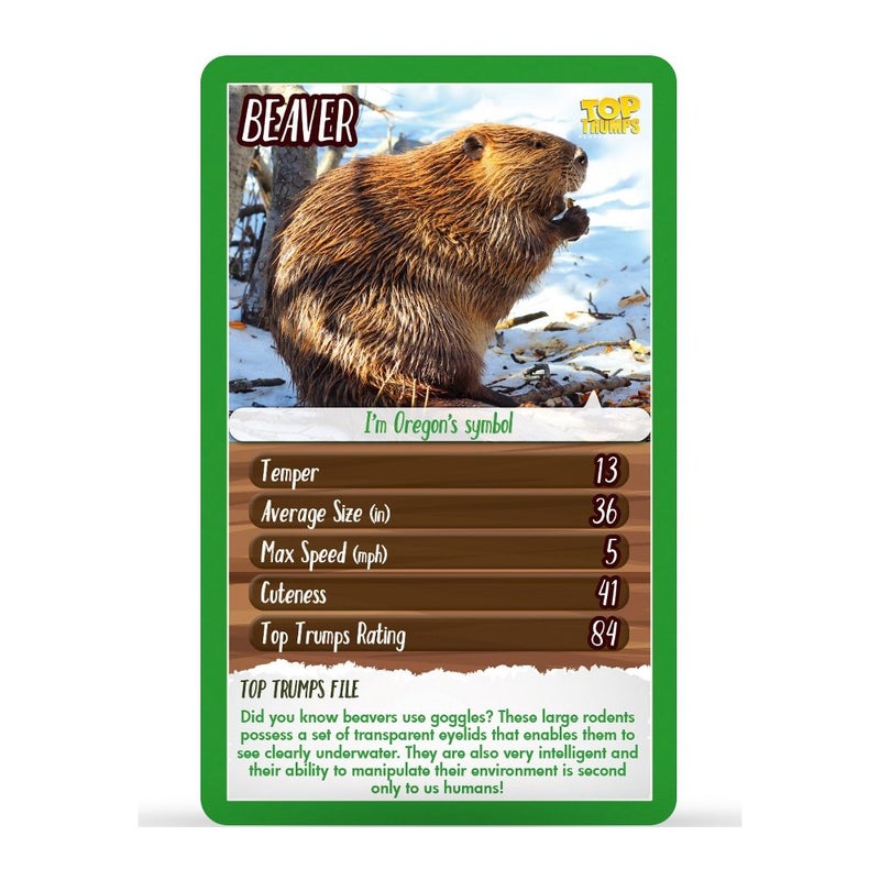 Top Trumps North American Wildlife Classics Card Game, Learn About The Armadillo, Badger, Orca and Beaver in This Educational Pack, Gift and Toy for Boys and Girls Aged 6 Plus - Image 5