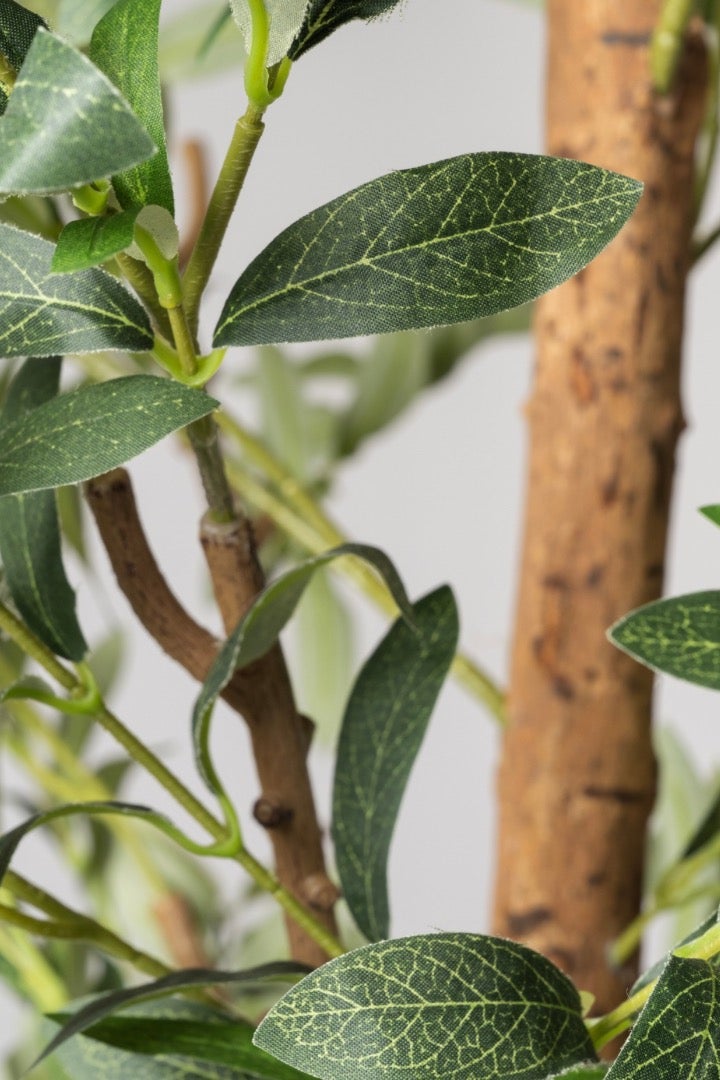 The Green Forest Hight 2.20m , Big Artificial Olive Tree With Real Trunk And Silk Cloth Olive Leaves , Including a luxury Planter  Black Color  - Image 4