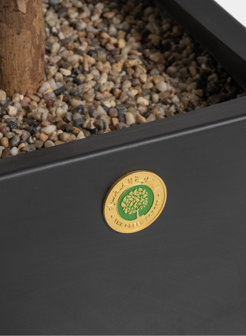 The Green Forest Hight 2.20m , Big Artificial Olive Tree With Real Trunk And Silk Cloth Olive Leaves , Including a luxury Planter  Black Color - Image 3