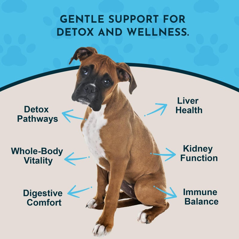 Animal Essentials Detox Blend Liver Support for Dogs and Cats, 2 fl oz- Promotes Healthy Liver Function - Image 3