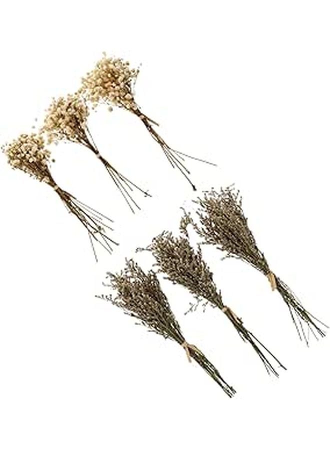 6 Pcs Dried Baby Breath Bouquets For Home Decor Photography Props Rustic Wedding - Image 1