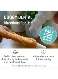 HomeoPet Doggy Dental, Dental Care for Dogs, 15 Milliliters - pzsku/Z71EB12004781BEEFF504Z/45/_/1737032025/31294245-f1e7-44ec-8a99-8e17564a6f7c