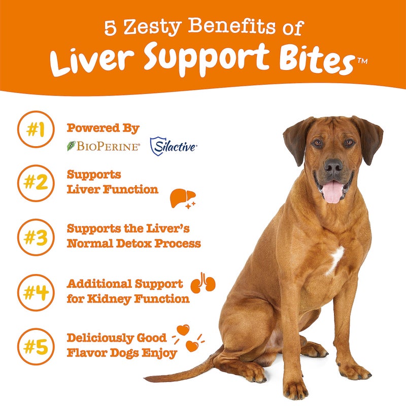 Zesty Paws Liver Support Supplement for Dogs - with Milk Thistle Extract, Turmeric Curcumin, Choline - Soft Chew Formula - for Dog Liver Function - Image 2