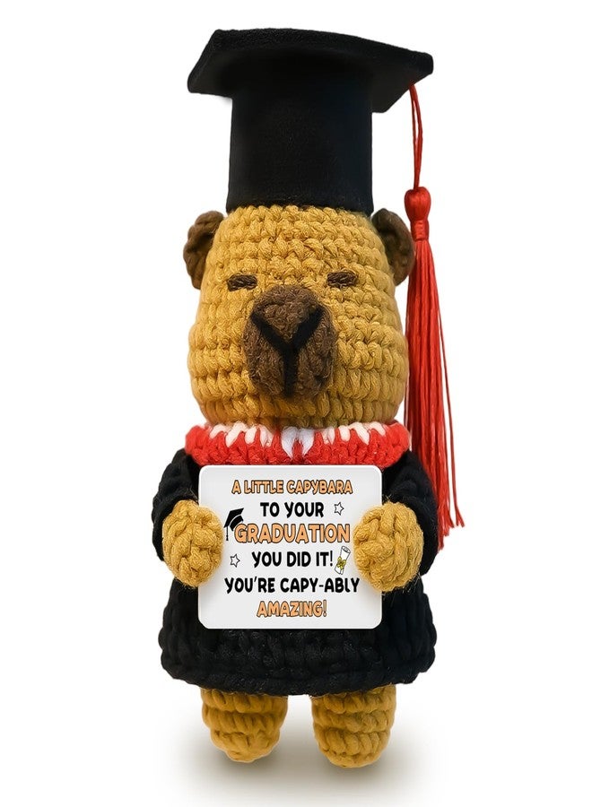 AICHPVOY Handmade Crochet Animals Kapipa Graduation Gift for Friends Graduating from high School Handmade Graduation Gifts/Christmas/Thanksgiving gifts Womens Gift For Christmas Stocking Stuffers for Women - Image 1