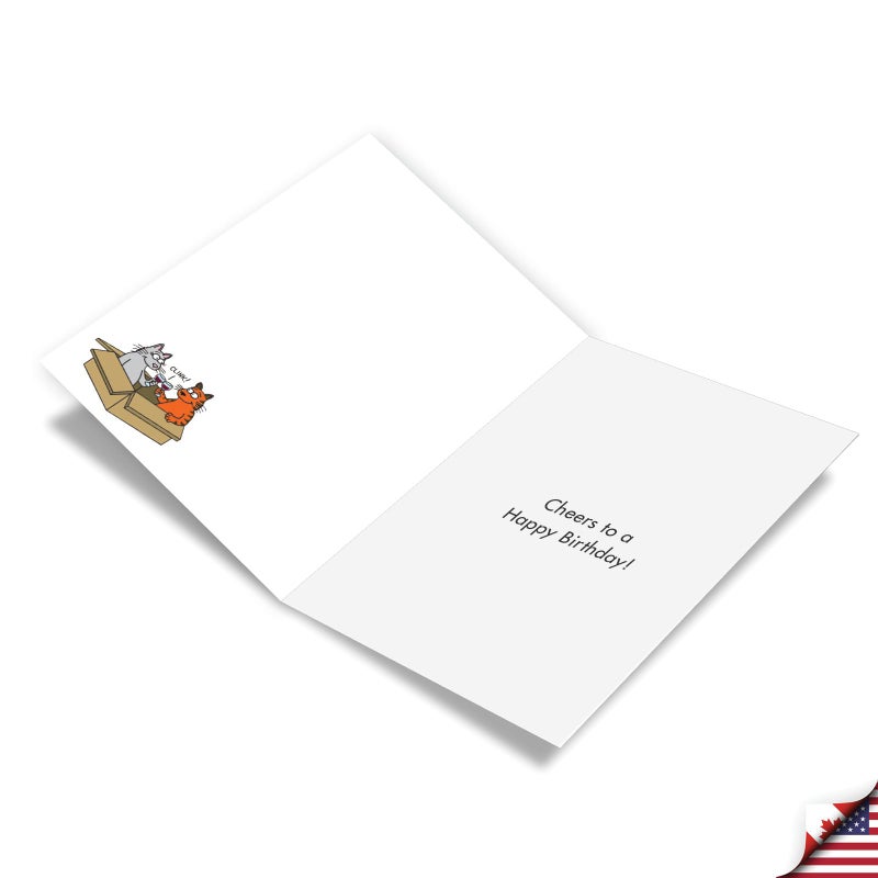 نوبلوركس NobleWorks - بطاقة تهنئة عيد ميلاد مضحكة مع ظرف 5 × 7 للرجال والنساء - صندوق Bday Cat C7005BDG - Image 2