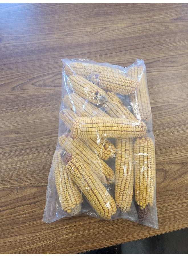 Generic Disbro Farms Ear Corn 6.5 pounds, 104 Fl Oz (Pack of 1) - Image 2