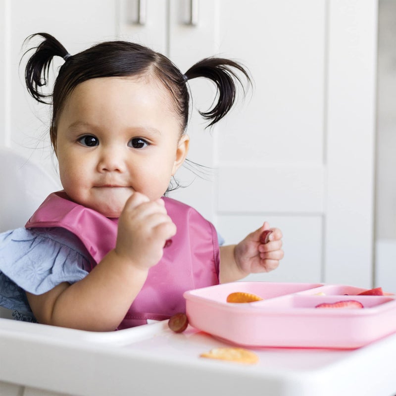 Tiny Twinkle Silicone Suction Baby Plate, Suction Grip Divided Dish for First Foods and Self-Feeding Toddlers, Baby Led Weaning Supplies for Independent Eating (Rose Plate with Lid) - Image 2
