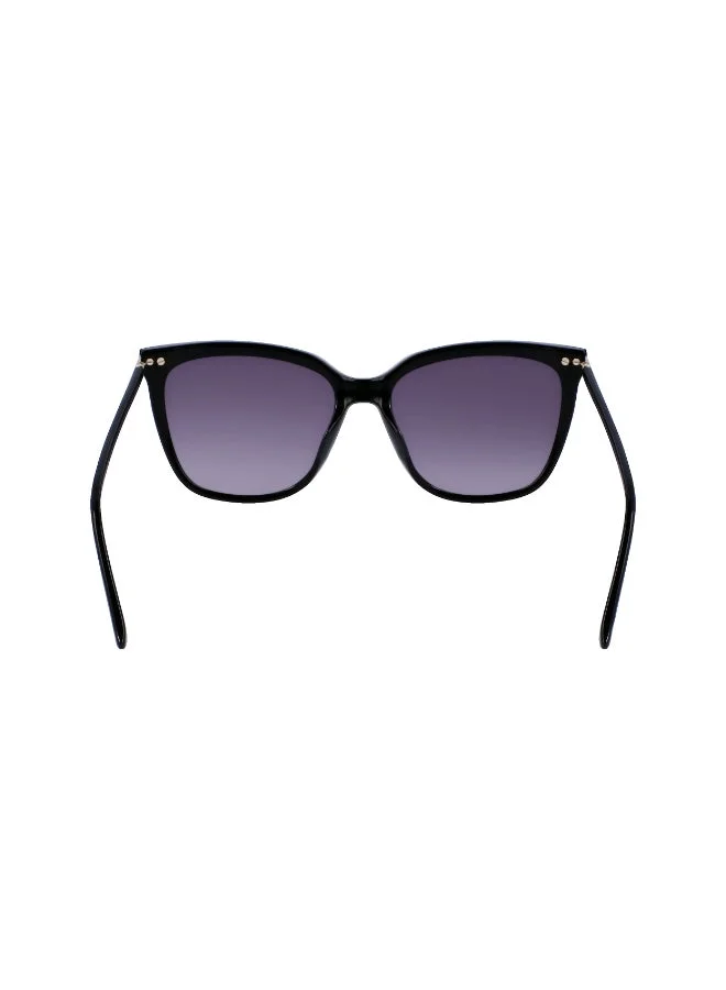 CALVIN KLEIN FULL RIM ACETATE CALVIN KLEIN SUN CK22532S