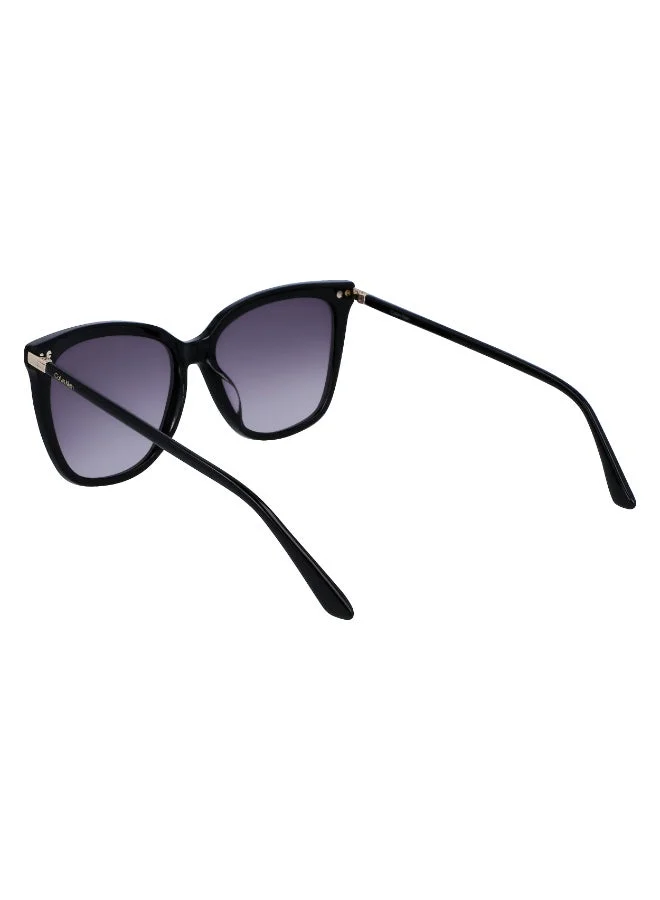 CALVIN KLEIN FULL RIM ACETATE CALVIN KLEIN SUN CK22532S