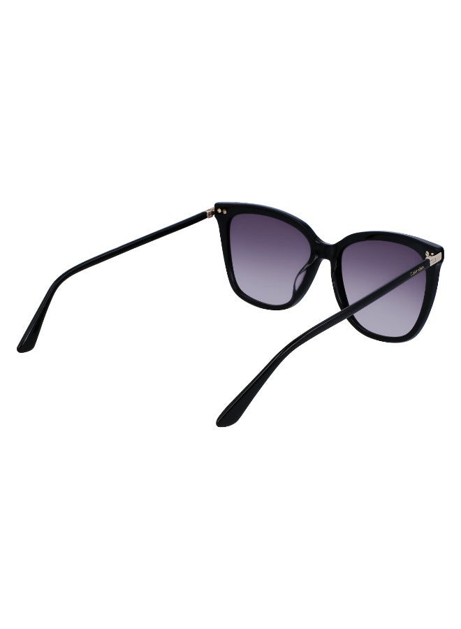 CALVIN KLEIN FULL RIM ACETATE CALVIN KLEIN SUN CK22532S - Image 5