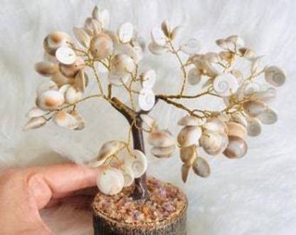 Galox Galox Natural Original Gomti Chakra Tree Gomati Chakra Tree for Good Luck Prosperity Decorative Showpiece Office Table Showpiece Home Table Dcor 100 Beads - Image 3
