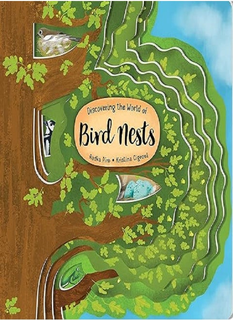 Discovering the World of Bird Nests