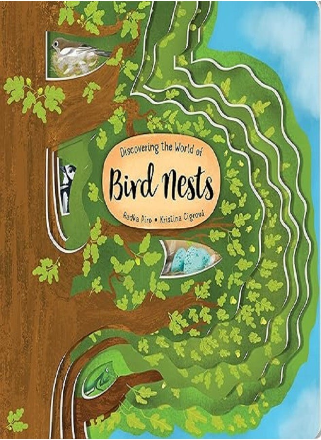 null - Discovering the World of Bird Nests - Image 1