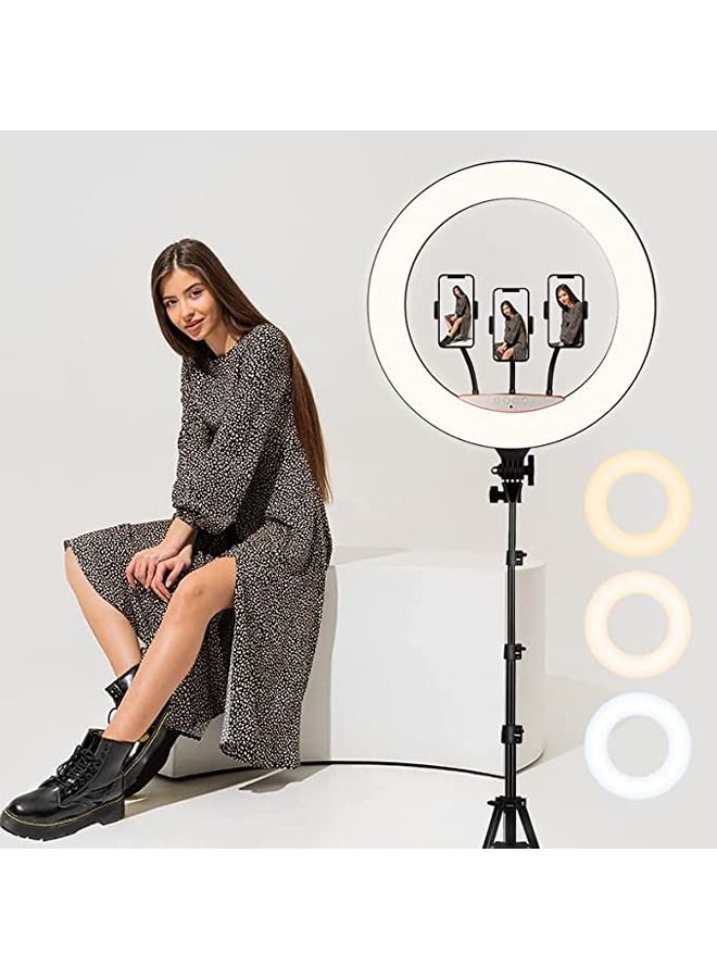 PADOM بادوم RL-21 ضوء حلقة LED ضوء حلقة ناعمة LED مع 3 ألوان نموذجية - Image 4