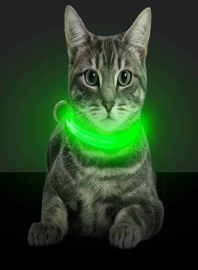 BSEEN Light Up Dog Collars - Glowing LED Dog Collar Rechargeable Puppy Collar for Small Dogs & Cats, Safety Dog Lights for Night Walking (Green) - Image 1