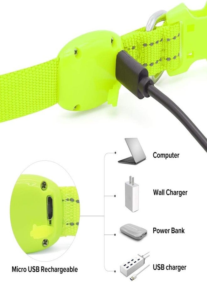BSEEN Light Up Dog Collars - Glowing LED Dog Collar Rechargeable Puppy Collar for Small Dogs & Cats, Safety Dog Lights for Night Walking (Green) - Image 4