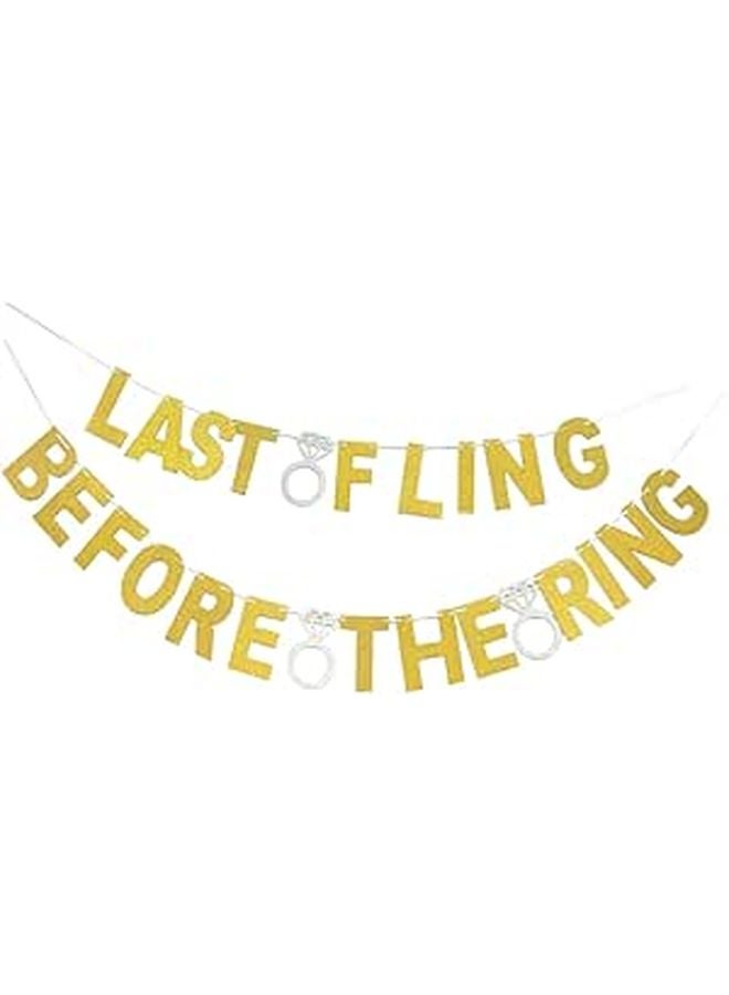 Gold Glitter Pull Flag Banner For Bachelorette Bachelor Party Decorations - Image 1