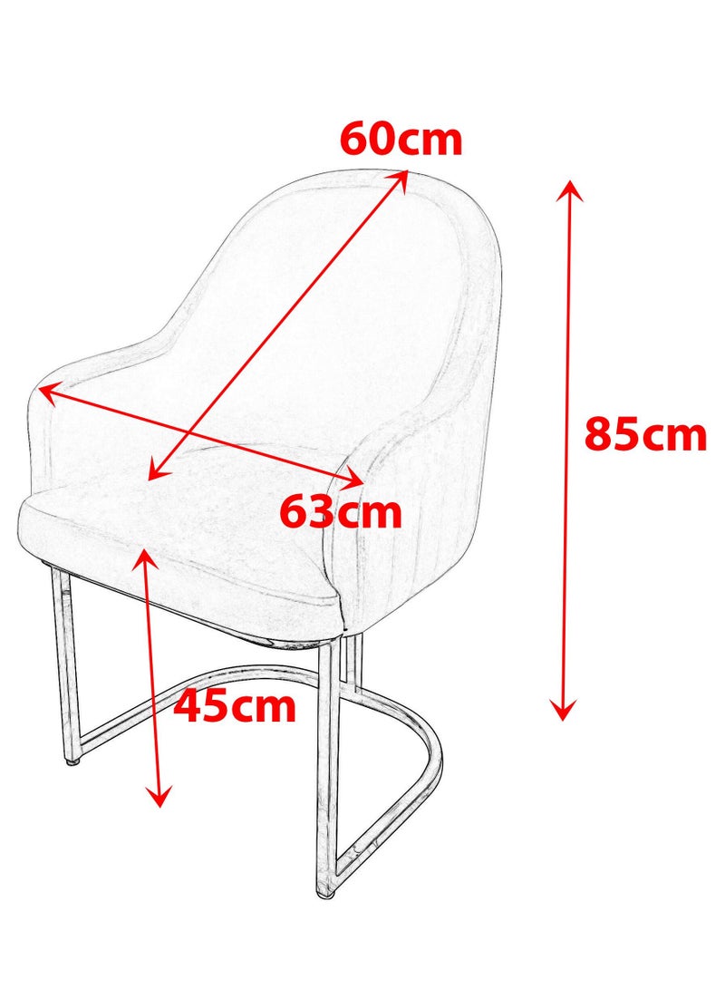 Maple Home Velvet Chairs Modern Accent Dining Chairs Flannelette Comfy Upholstered Dining Room Furniture Leisure Chairs Golden Metal Leg