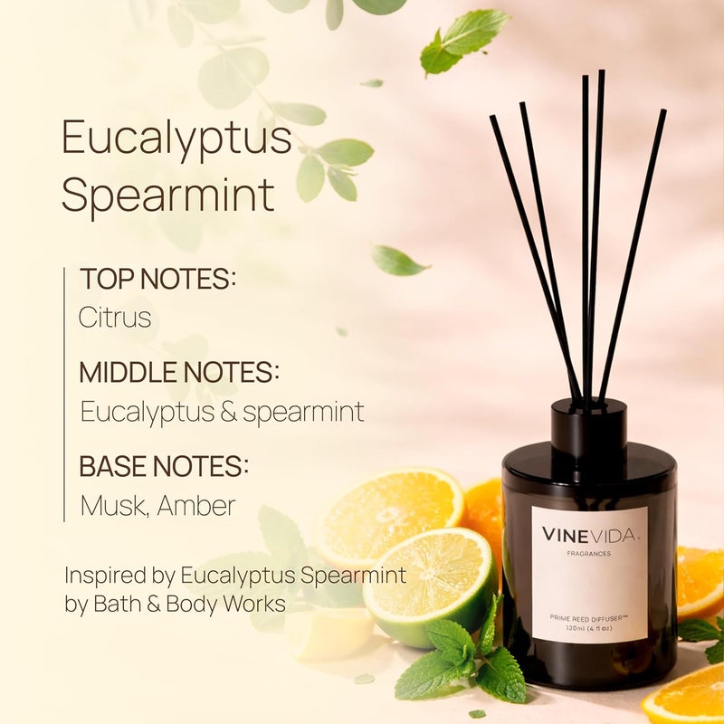 VINEVIDA | Eucalyptus Spearmint | Reed Diffuser for Home & Bathroom | Long-Lasting Scent Sticks Set | Oil Stick Diffuser | Bathroom Scent - Image 2