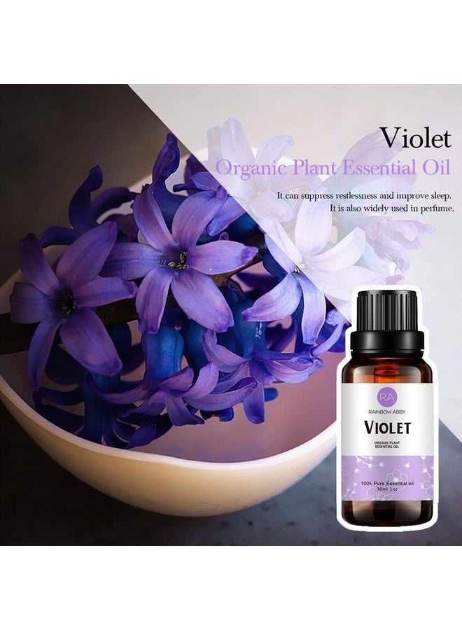 Rainbow Abby Violet Essential Oil, 100% Pure Diffuser Oil Violet Oil for Diffuser, Massage, Skin Care, Yoga, Sleep - 30ML - Image 2