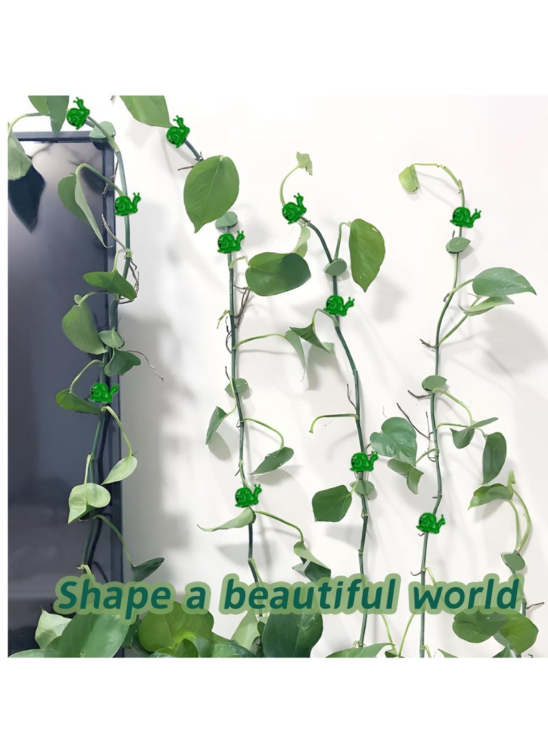 SYOSI 80 Pcs Plant Climbing Wall Fixture Clips Hanging Invisible Self Adhesive Leaf for Green Rose Fixing Device Hooks and Arranging Lines Snail Shape - Image 3