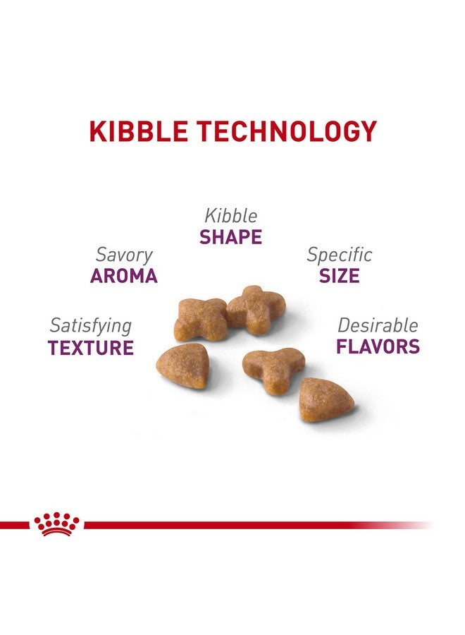 Royal Canin Adult Cat Sensitive Digestion Dry Adult Cat Food, 3.5 lb bag - Image 1