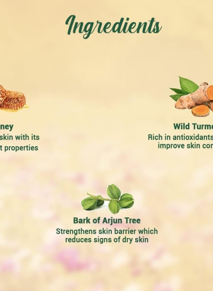 Biotique Bio Honey Gel Refreshing Foaming Face Wash, 150ml/ 5.07 Oz. I All Skin Type I Enriched with Honey Powerful Cleanser, Brightens Complexion, Boosts... - Image 5