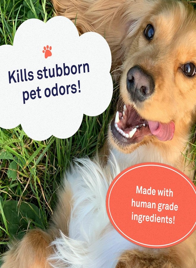 Petpost | Skunk Odor Eliminator Shampoo for Dogs & Cats. Neutralizes Strong Odors. Gentle & Safe Formula. 16 oz - Image 3