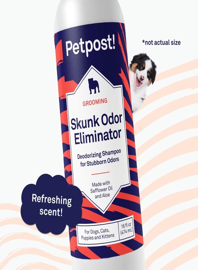 Petpost | Skunk Odor Eliminator Shampoo for Dogs & Cats. Neutralizes Strong Odors. Gentle & Safe Formula. 16 oz - Image 5
