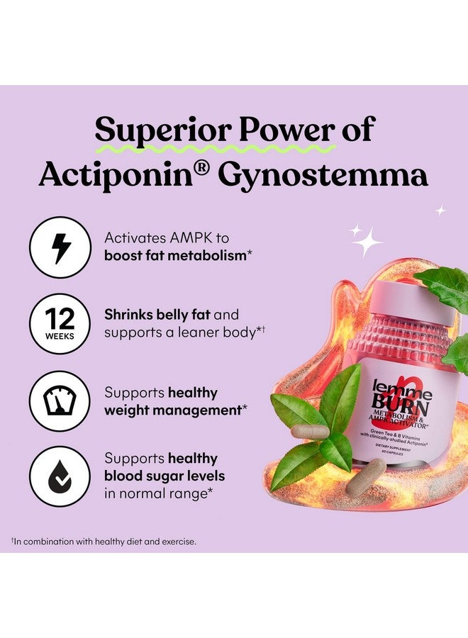 Lemme Burn Belly Fat Capsules, Clinically Studied AMPK Metabolic Activator Actiponin Jiaogulan, 50% EGCG Green Tea Extract, Vitamin B6, Methyl B12 for Men and Women - 60 Count (Pack of 2) - Image 3
