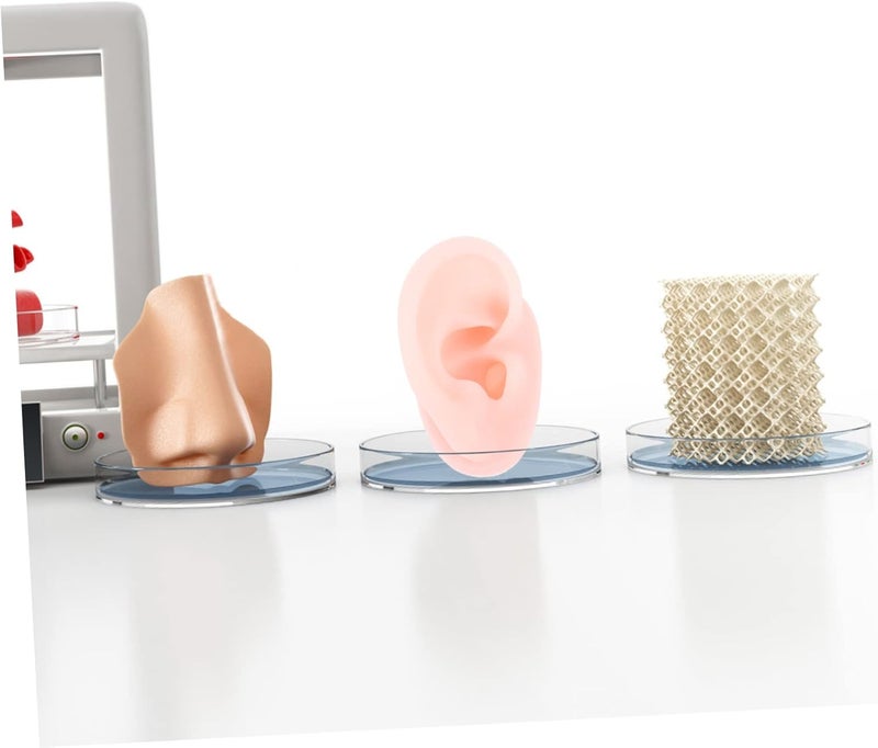DIYEAH Silicone Ear Model Piercing Practice Tool Jewelry Earring Display Fake Ear - Image 3