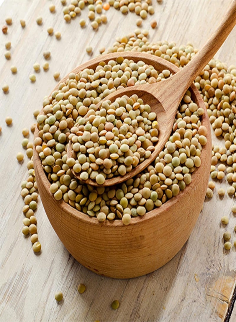 GGOOT Lentils, Lens culinaris Medik 10 Seeds Non-GMO Fresh Green Vegetables High Germination Rate Survival Gear Food Seeds - Image 1