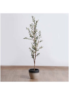 Olive Tree With Pot-h180cm Green