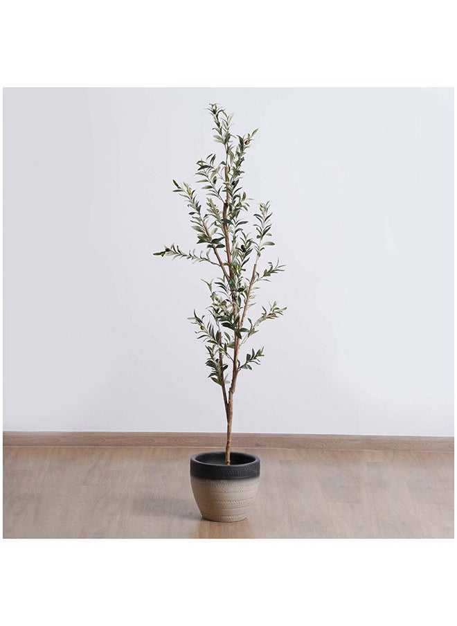 Pan Home - Olive Tree With Pot-h180cm Green - Image 1