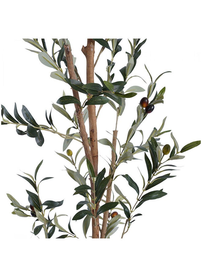 Pan Home - Olive Tree With Pot-h180cm Green - Image 1